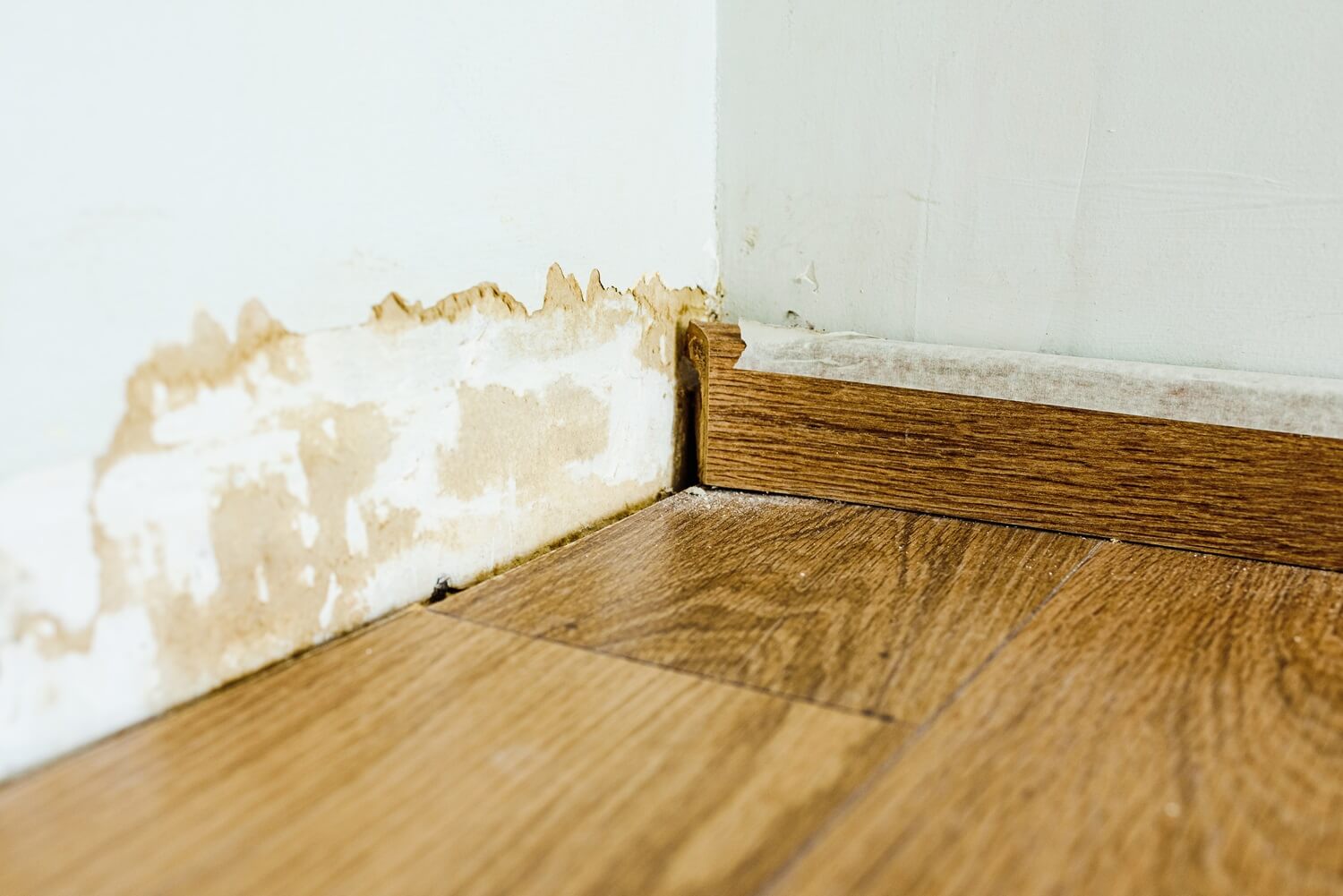 Mold damage on a wall caused by a hidden water leak.