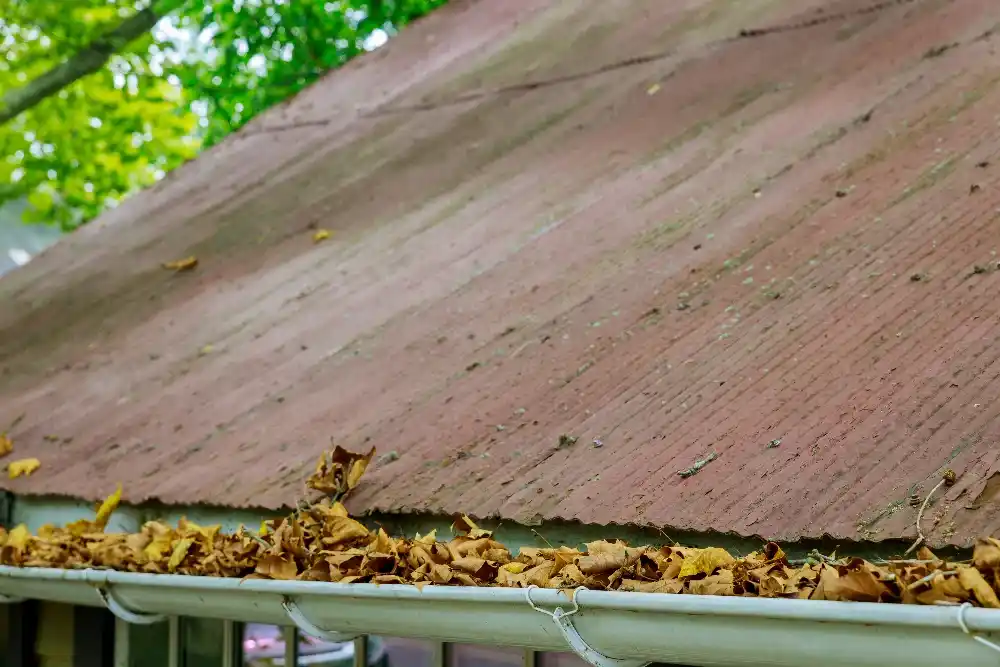 Clogged roof gutter filled with leaves and debris.