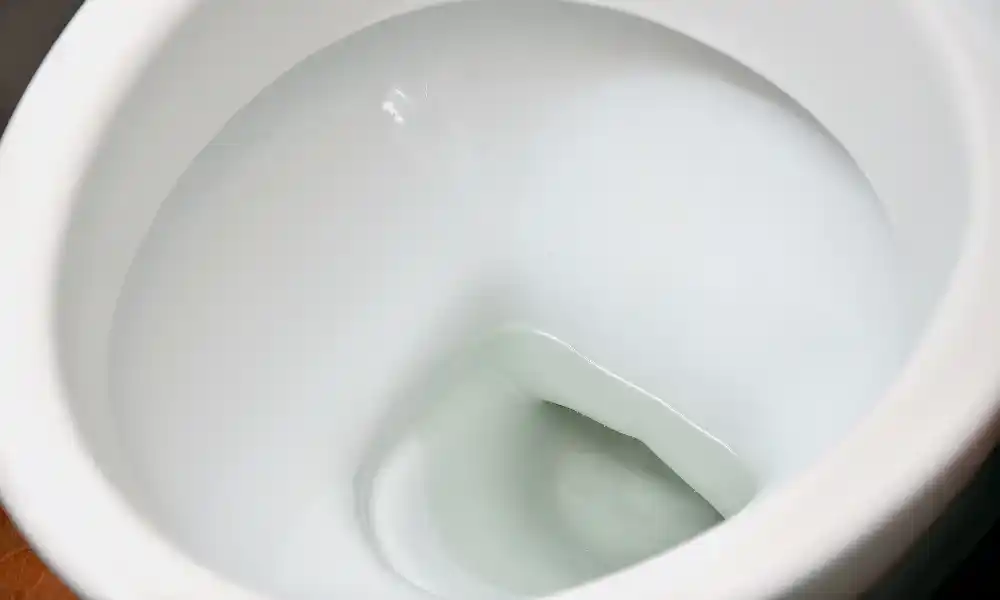 Close-up of a clean white toilet bowl.