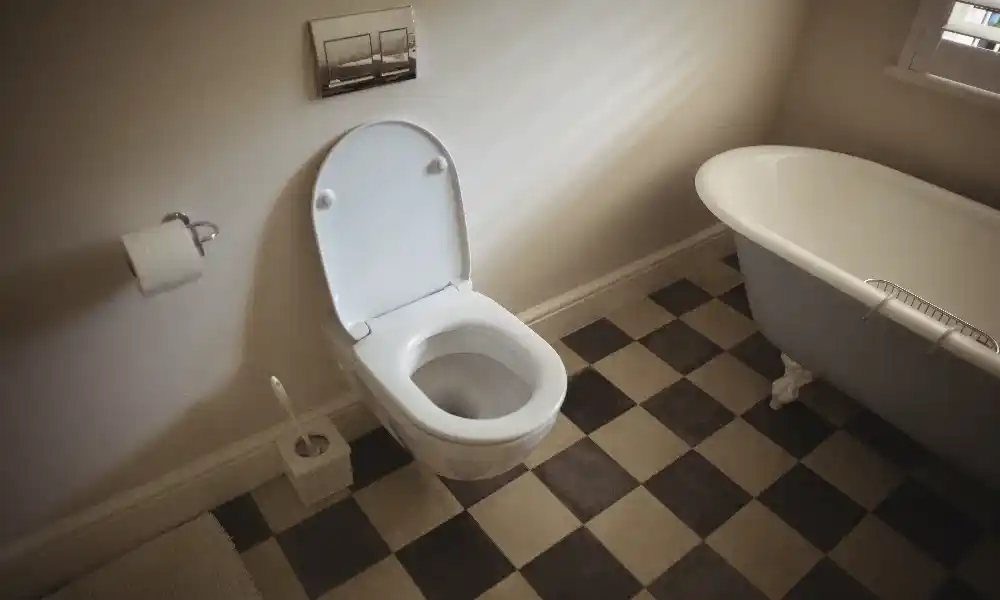 toilet draining into the tub